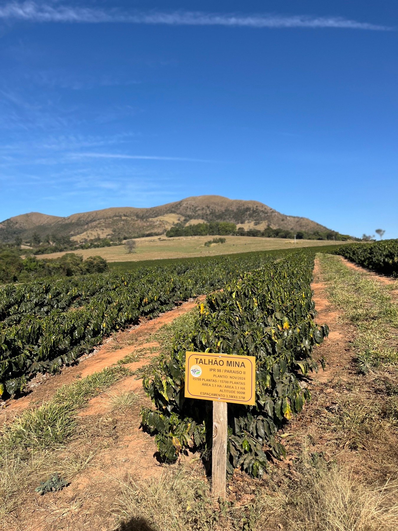 Placa de identificação do Talhão Mina na lavoura da Fazenda Goiabas